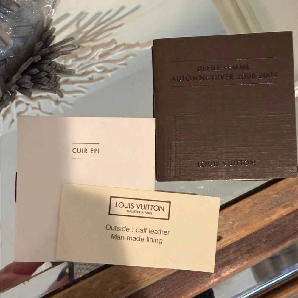 Louis Vuitton Metallic Silver Hobo Bag - Picture 10 of 13